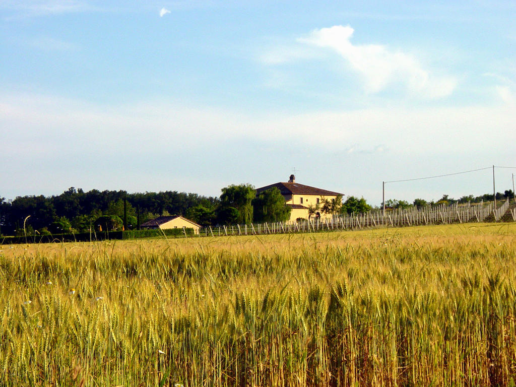 Agriturismo Verbena Castiglione del Lago Kültér fotó